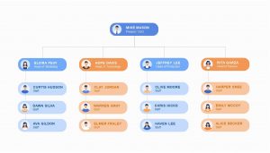 Organizational Chart Types and How To Use Them